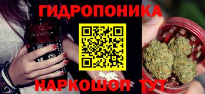 шишки Будённовск
