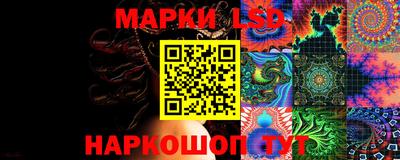 шишки Будённовск