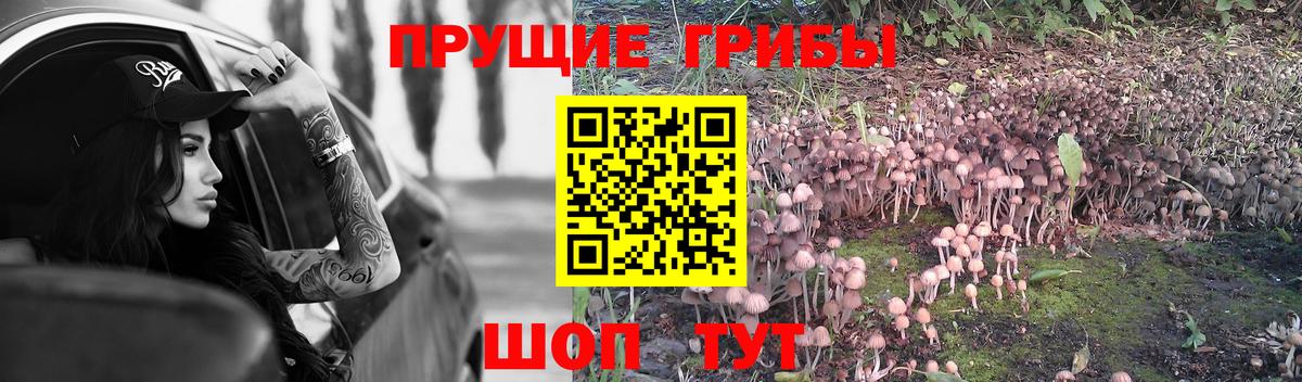 Псилоцибиновые грибы ЛСД Полысаево
