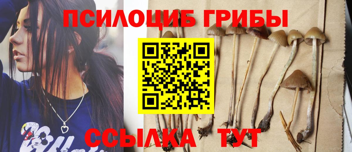 купить наркоту  Галлюциногенные грибы Psilocybe  Вход с VPN  Полысаево 
